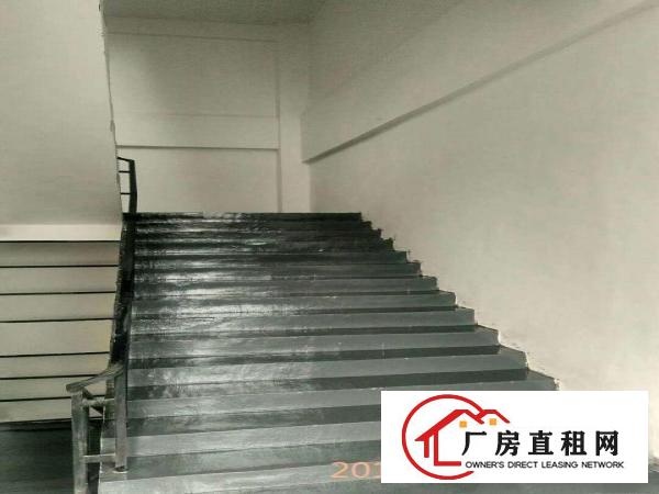 中堂，高埗，万江南城，东城，寮步仓库招租100-5万均可分租