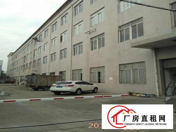  中堂，高埗，万江南城，东城，寮步仓库招租100-5万均可分租