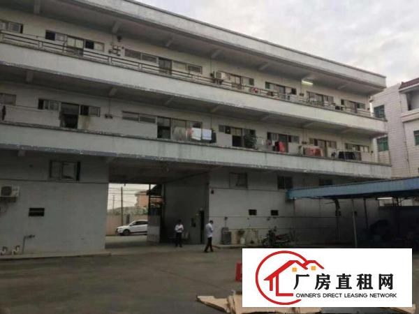  中堂大型物流仓隆重招商