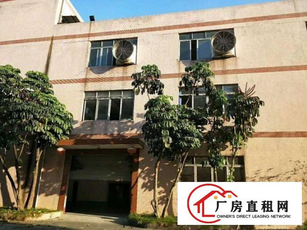  中堂大型物流仓隆重招商