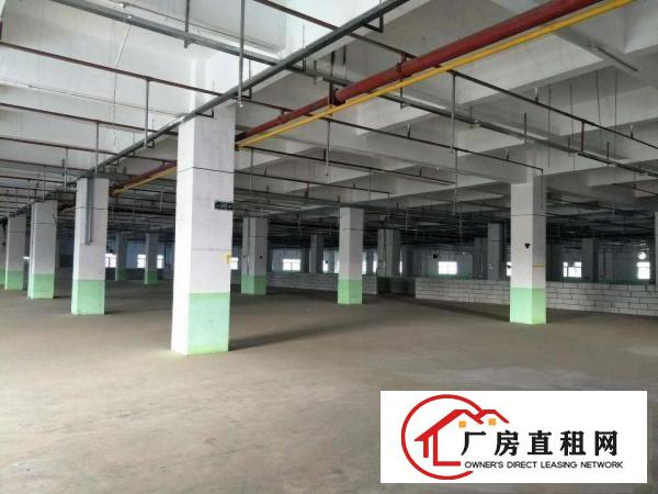  中堂大型物流仓隆重招商