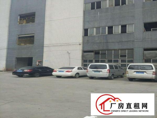  中堂标准独门独院三层厂房仓库出租
