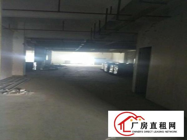  中堂标准独门独院三层厂房仓库出租