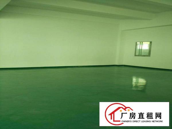  中堂标准独门独院三层厂房仓库出租