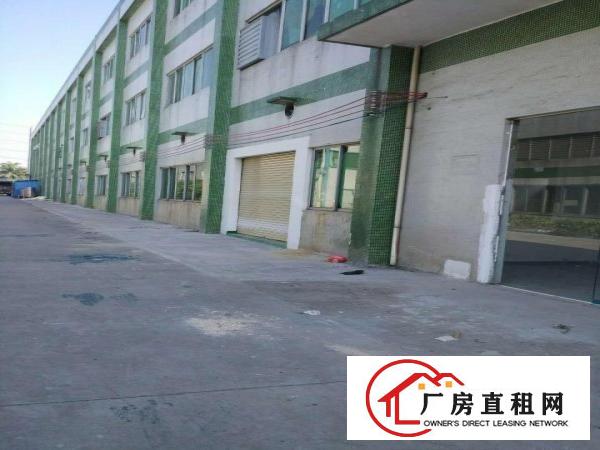  中堂标准独门独院三层厂房仓库出租