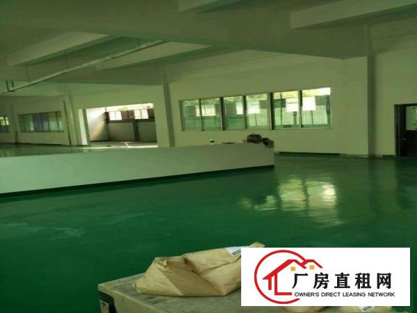  中堂标准独门独院三层厂房仓库出租