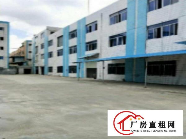  中堂标准厂房分租一楼1000平方米出租厂房八成新，有厂区有绿