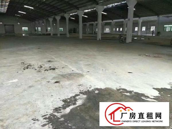  中堂独院单一层厂房1500平方米,价格便宜交通方便