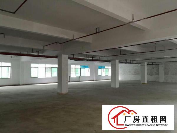  中堂成熟工业园厂房一楼1500平方低价招租采光好，形象佳