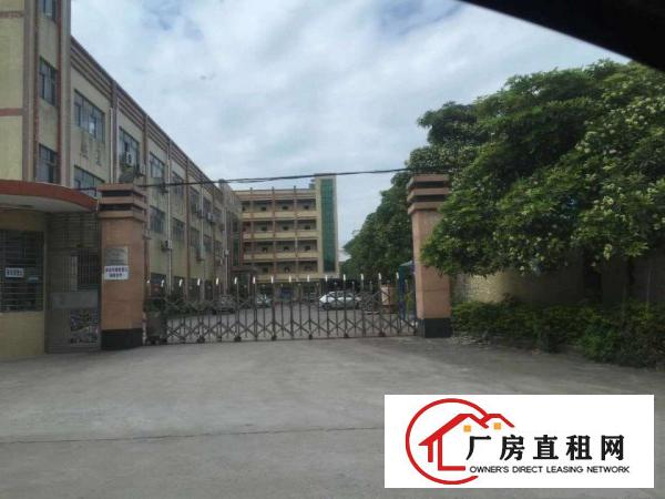 东莞中堂厂房出租大量中堂仓库厂房分租