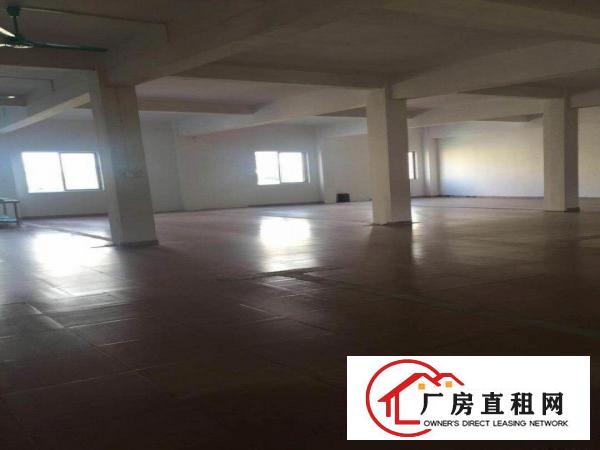  东莞中堂厂房出租大量中堂仓库厂房分租