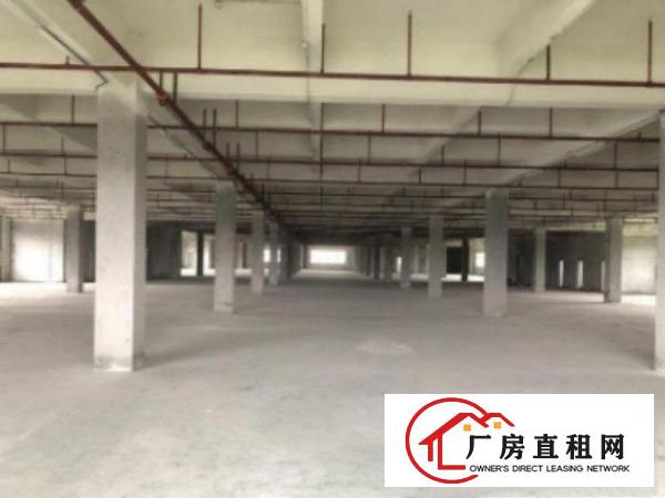  中堂工业区2楼2000平米个人独院标准厂房招租带现成装修