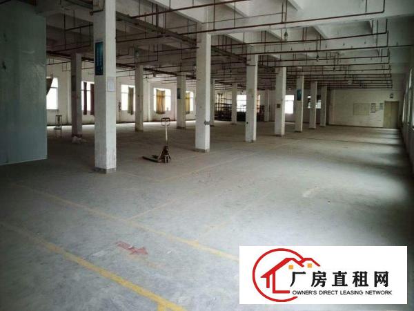  中堂袁家涌工业区一楼2000平米厂房出租水电线路消防设施齐全