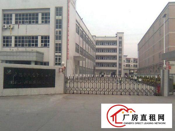  中堂标准厂房楼上2楼1000平方超大超靓带电梯有现成线路及办
