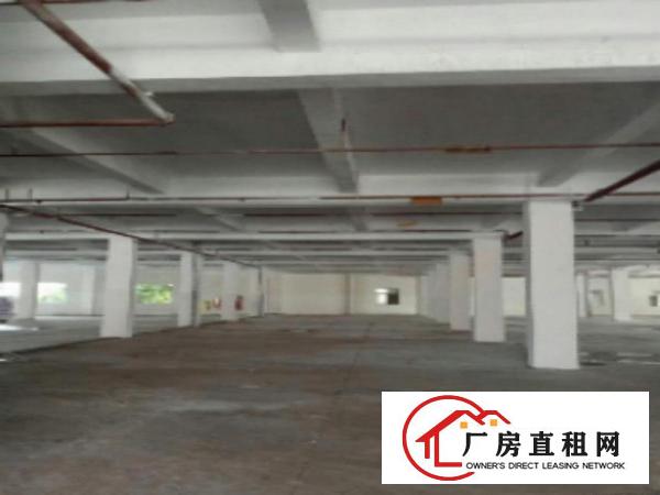  中堂1000、2000、3000平方一楼厂房出租消防水电齐全