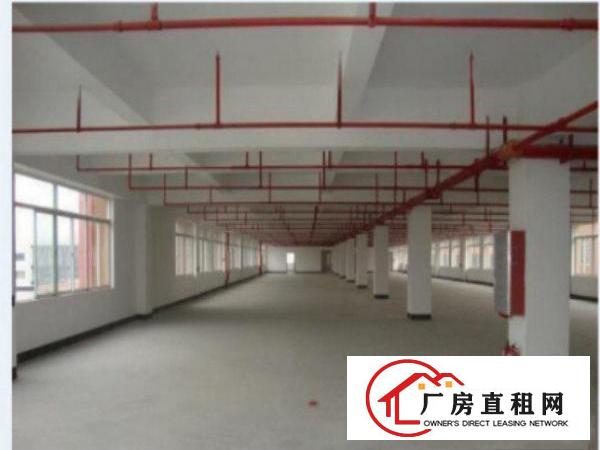  【中堂单一层厂房招租】独院钢构/简易/标准