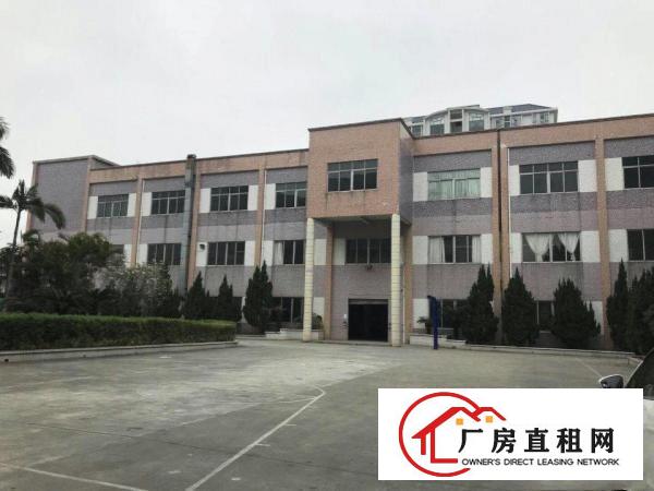  中堂独院标准楼房3层6500平方出租水电线路齐全，成熟工业区