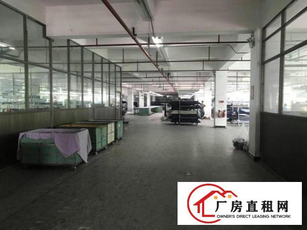  中堂独院标准厂房一楼2000平方出租带精装修办公室主体消防
