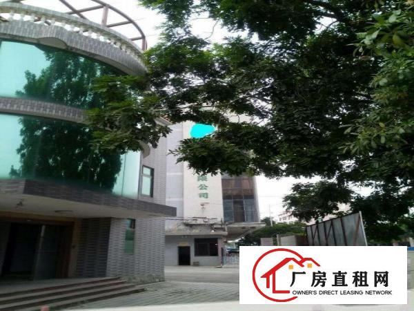  中堂现有大量独院厂房招租中厂内装修齐全价格优惠