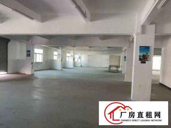 槎滘工业区一楼标准厂房800平方出租