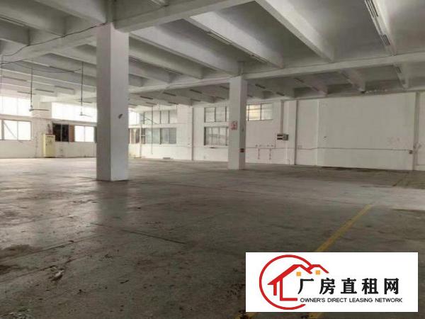  马沥工业区新出带装修标准厂房900平方出租