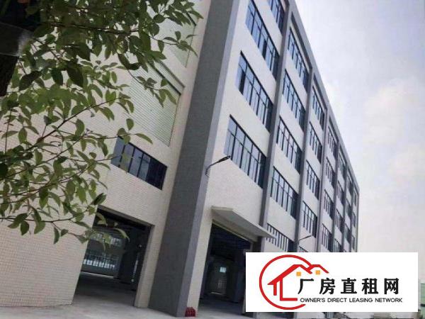  槎滘工业区新出工业园区带牛角标准厂房2380平方出租