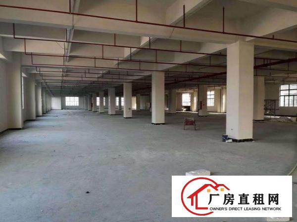  槎滘工业区新出工业园区带牛角标准厂房2380平方出租