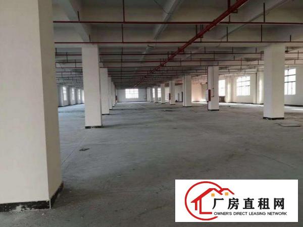  槎滘工业区新出工业园区带牛角标准厂房2380平方出租