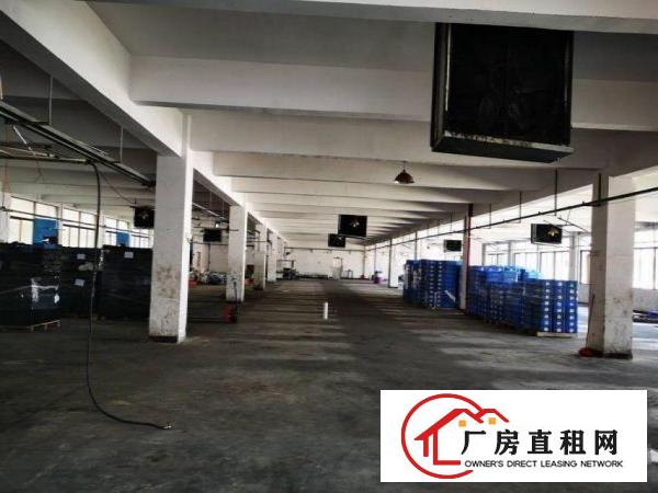  凤冲工业区原房东独院厂房600平方可办环评大小可分租