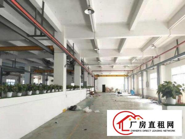  东泊工业区原房东标准一楼1500平方带行车厂房
