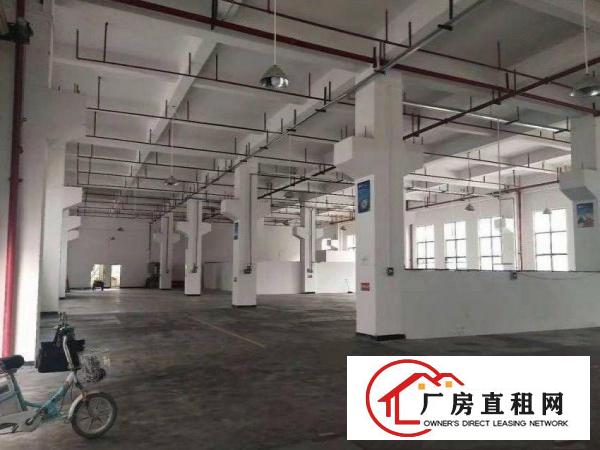  下芦工业区新出原房东1500平方带精装修一楼厂房出租，无公摊