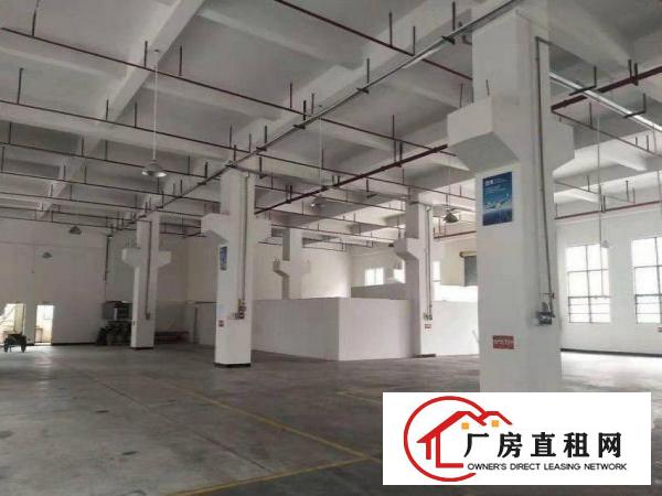  下芦工业区新出原房东1500平方带精装修一楼厂房出租，无公摊