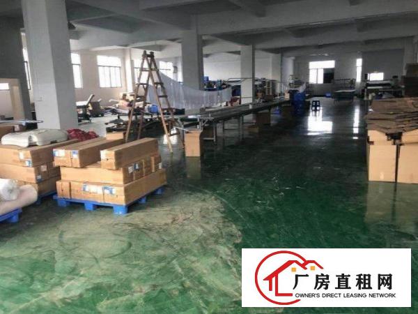  蕉利工业区原房东独门独院标准厂房二楼1400平方，可办环评