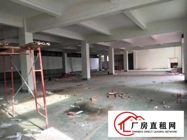  吴家涌分租标准厂房一楼1200平米水电齐全