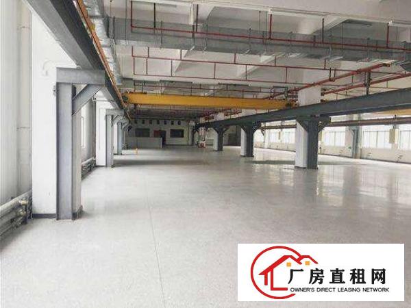  中堂新出独院标准厂房一楼2000平方带5吨行车出租