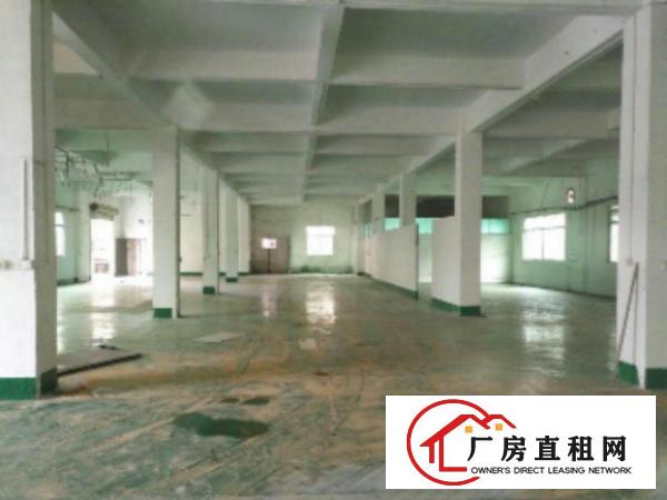  中堂新出独院标准厂房1-2层总面积8500平方出租