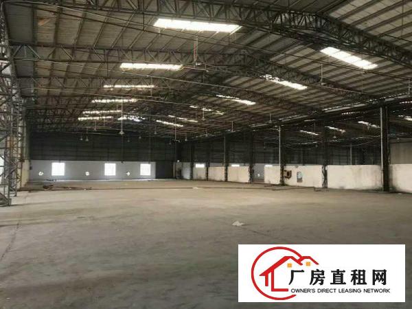  中堂、麻涌、望牛墩大量厂房仓库出租