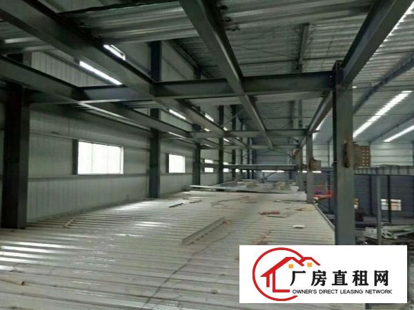  中堂、麻涌、望牛墩大量厂房仓库出租