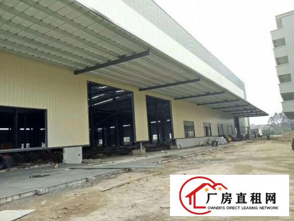 中堂、麻涌、望牛墩大量厂房仓库出租