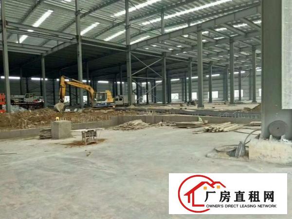  中堂、麻涌、望牛墩大量厂房仓库出租