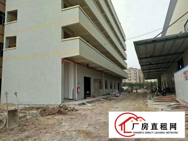  中堂、麻涌、望牛墩大量厂房仓库出租