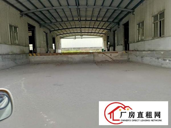  中堂镇新出炉单一层厂房价格低可办环评