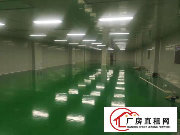  中堂镇新出炉单一层厂房价格低可办环评
