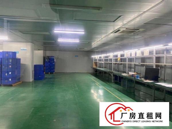  中堂镇新出炉单一层厂房价格低可办环评