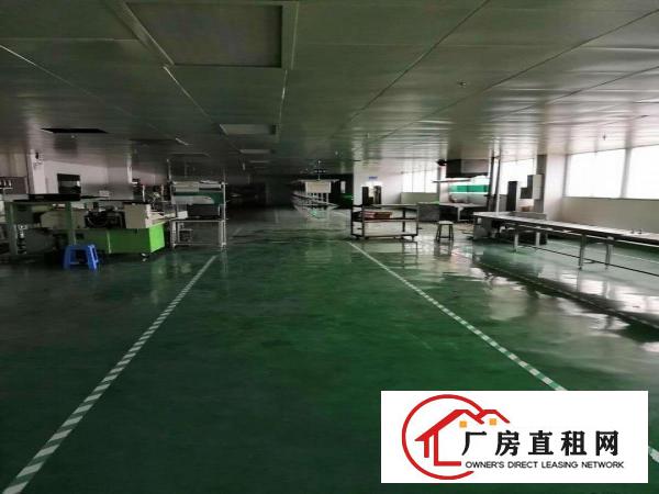  中堂镇新出炉单一层厂房价格低可办环评