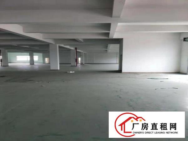  中堂镇新出原房东独门独院厂房招租