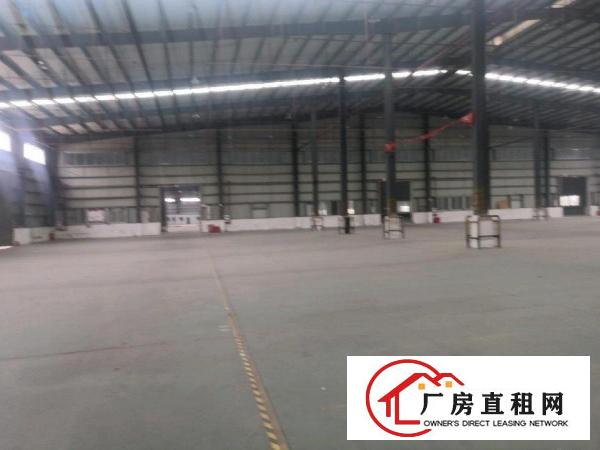  中堂麻涌，新出高台物流仓库出租