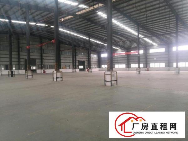  中堂麻涌，新出高台物流仓库出租
