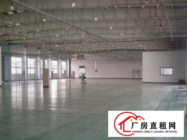  中堂独院钢构单一层2100平米带现成装修出租