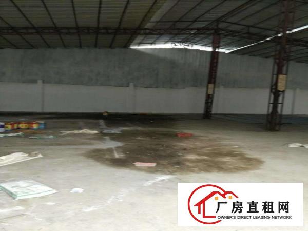  中堂标准一楼，单一层厂房，仓库招租
